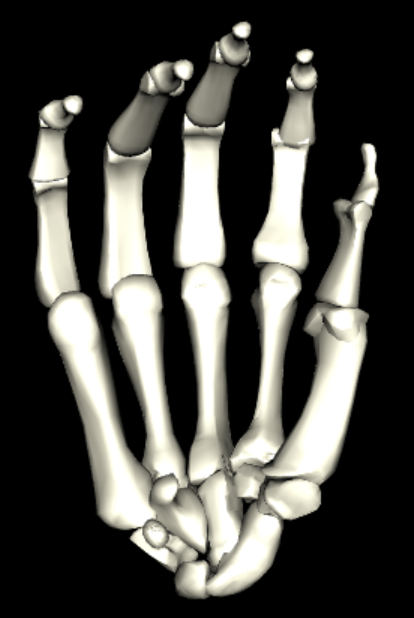 r_hand is right hand